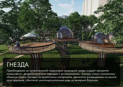 Smart-парк \"Дельфин\" в городе Воронеж, Воронеж - «Воронеж! Островок  цивилизации и эстетики в городе » | отзывы