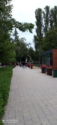 Воронеж, лето, парк Дельфин Voronezh, summer, Dolphin Park. - YouTube