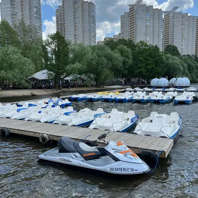 В Воронеже опубликовали проект генплана обновленного парка «Дельфин»