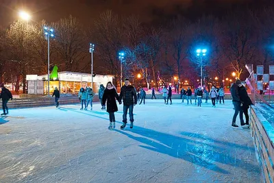 Фото: Дельфин, парк культуры и отдыха, ул. Остужева, 2В, Воронеж — Яндекс  Карты