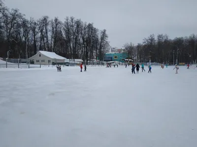 Парк культуры и отдыха им. М. Гафури, парк культуры и отдыха, просп.  Октября, 77/1с1, Уфа — Яндекс Карты