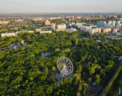 Три Медведя\" аттракцион-кафе в парке Гагарина в Самаре