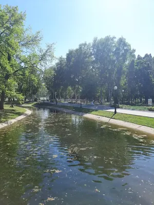 Парк Юрия Гагарина (детский парк культуры и отдыха) в Самаре, ул. Советской  Армии, 181В - фото, отзывы 2024, рейтинг, телефон и адрес