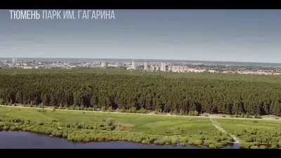 Парк Гагарина, Тюмень. Где находится, на карте, растения, фото, адрес, как  добраться на Туристер.Ру