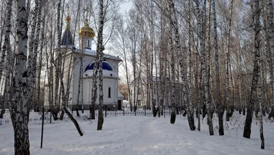 В тюменском парке умерла девушка, подробности