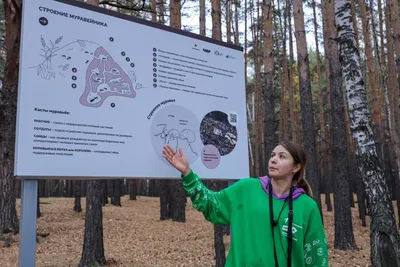 В Гагаринском парке Тюмени будут проведены мероприятия по благоустройству |  АиФ–Тюмень | Дзен