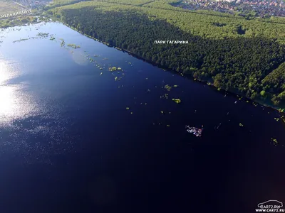 Лесопарк имени Ю.А. Гагарина. Парки и скверы в Тюмени - Place Тюмень