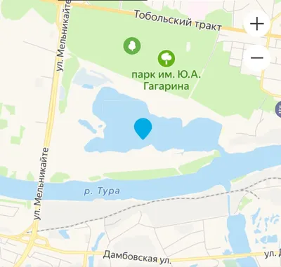 Парк Гагарина, Тюмень. Где находится, на карте, растения, фото, адрес, как  добраться на Туристер.Ру