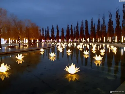 Krasnodar Stadium | Waterscape design, Landscape features, Waterscape