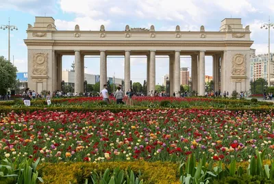 Complete Guide to Moscow's Gorky Park (What to see and do)