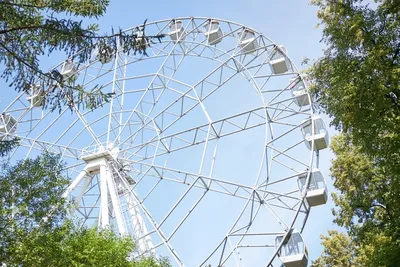 В парке Горького посетительница выпала с аттракциона Twister Coaster —  Новости Перми и Пермского края - Properm