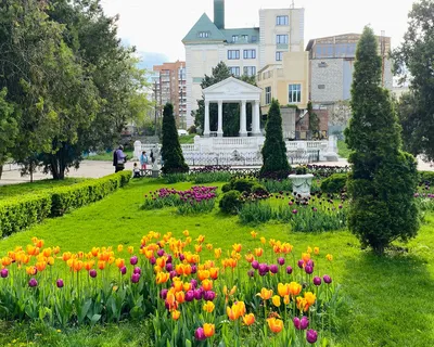 Памятник Владимиру Ленину (у входа в парк им. М. Горького) (Ростов-на-Дону)  в Ростове-на-Дону - Ростов-на-Дону.вики