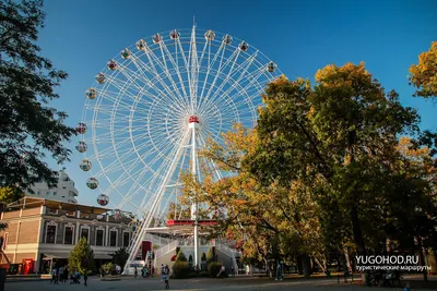 Городской сад в Краснодаре (Парк им. М. Горького) • Югоход