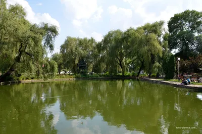 Городской сад. | Городской сад, парк культуры и отдыха | Фотопланета