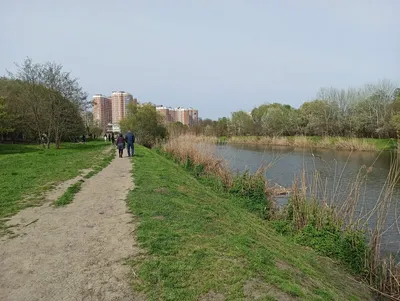 Отзыв о Парк \"Городской сад\" (Россия, Краснодар) | Городской парк с  вековыми дубами.