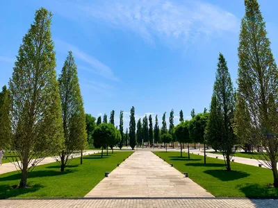 Парк Галицкого в Краснодаре — пожалуй, лучший парк России» в блоге «Своими  глазами» - Сделано у нас