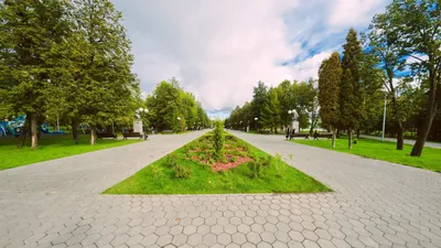 В парке «Крылья Советов» проводятся бесплатные занятия по скандинавской  ходьбе - Новости - Официальный портал Казани