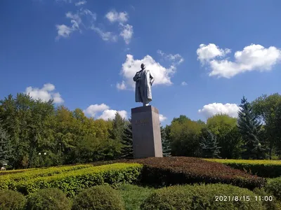 В казанском парке «Крылья Советов» празднуют День жизнелюба - Новости -  Официальный портал Казани