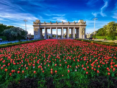 Москва. Парк Горького и Воробьёвы горы