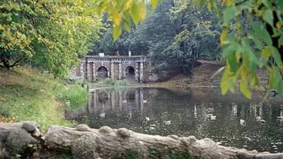 🌳Лефортовский парк: история и фото.