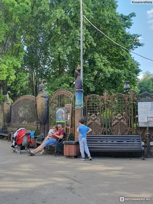 Детский парк \"Лукоморье\", совхоз им Ленина - «Крутой парк Лукоморье, как в  сказке. Отдых семьей с клубникой в руках » | отзывы