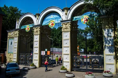 Городской парк Лукоморье - главный и один из самых больших парков Саратова