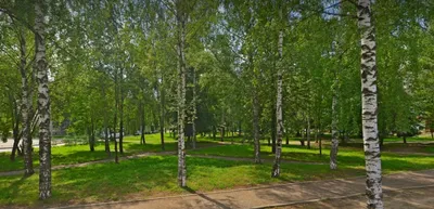Парк на Никитской, Кострома - «Отличное место для детского отдыха» | отзывы