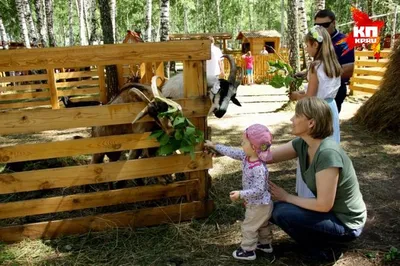 Сельский парк \"Околица\" | Tomsk