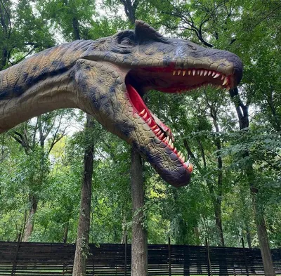 Динозавры в парке Островского (г.Ростов-на-Дону) / Park of dinosaurs in  Rostov-on-Don, Russia - YouTube