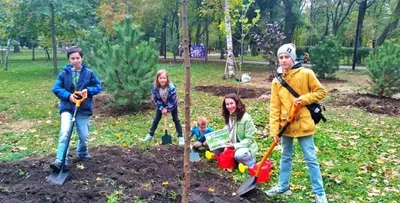 Отзыв о Парк культуры и отдыха им. Н. Островского (Россия, Ростов-на-Дону)  | Замечательный парк!