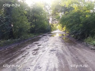 Уважаемые жители! Добраться до купели в парке отдыха «Водный» в Крещение  можно будет на автобусе