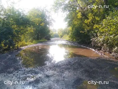 Маленькие беседки у воды на 10 человек / эко-комплекс Таежный