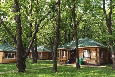 Парк-Отель Дубрава, Россия, Самара - «Комфортный отдых на природе» | отзывы