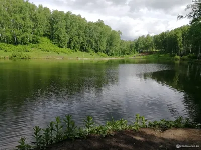 Парк-отель Шишка - Новосибирск, Воронежский переулок 16/1: цены 2024, фото  и отзывы