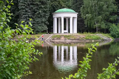 Веревочный парк в парке Уралмаш — Веревочный парк Эльф-Парк