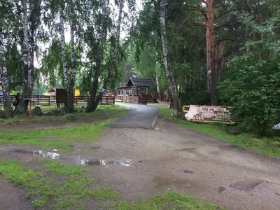 Приморский парк Победы - Санкт-Петербург: фотоотчеты, события, как добраться