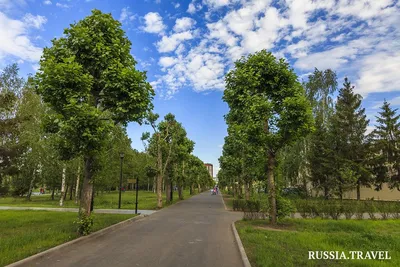 Казань, Парк Победы, Памятник Матери солдата, Рубка подвод… | Flickr