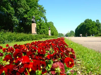 Московский парк Победы в Санкт-Петербурге