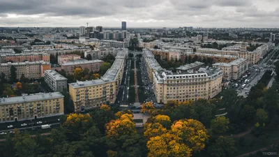 Проекты Московского парка Победы . Книжные экспозиции