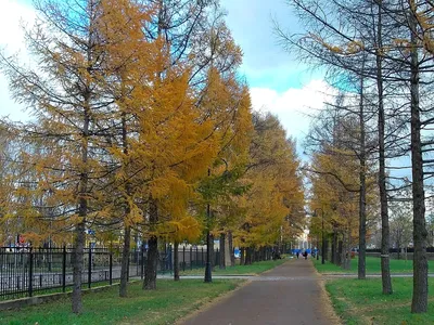 Детская площадка в Московском парке победы, Санкт-Петербург - map4child.ru