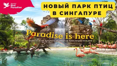 ПАРК ПТИЦ The Bird Park , Сингапур: туроператор – туроператор Библио-Глобус