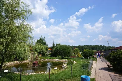 Экскурсия в Парк птиц Воробьи. В гости к пернатым - цены, отзывы,  расписание - заказать билеты онлайн на visotatour.ru