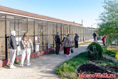 Парк птиц \"Воробьи\" (Калужская область). Лучшее место для семейного отдыха!  Часть 1