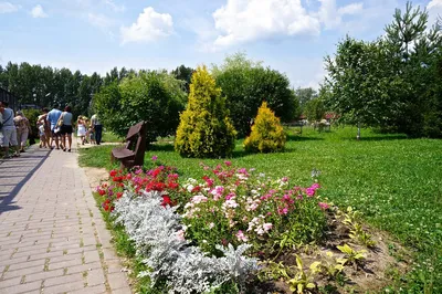 Дикая птица и культурный человек (Валуево – Вороново – Парк Птиц Воробьи ,  автобусный тур) - Туры в Подмосковье