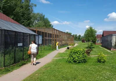 Парк птиц \"Воробьи\" в Калужской области | РИА Новости Медиабанк