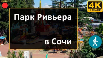 Для создания арт-пространства в Сочи реконструируют парк «Ривьера»