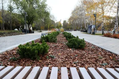 Загородный парк, Самара. Гостиницы рядом, фото, видео, сайт, адрес, цены  2024, как добраться — Туристер.Ру