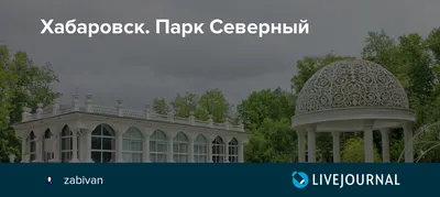 Осенняя прогулка ( парк \"Северный\", г.Хабаровск) :: Оксана – Социальная  сеть ФотоКто