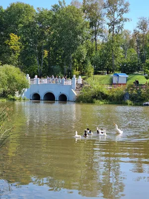 Сказочный замок в парке «Северный» в Хабаровске заработает в июле