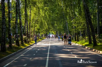 Файл:Парк Сокольники в Москве. Фото 15.jpg — Викимедиа